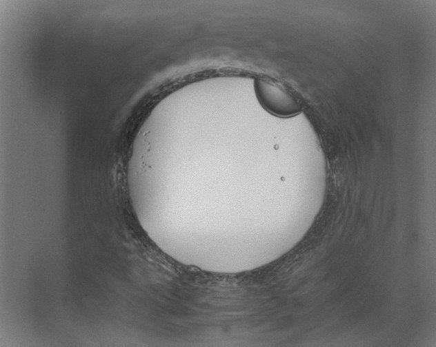 X0000071901495200608041329