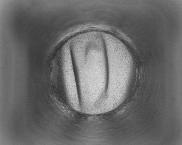 X0000071901496200608041329