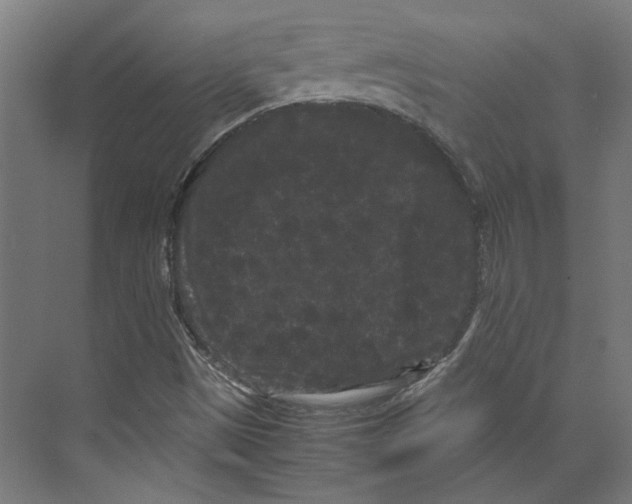 X0000071901497200608041329