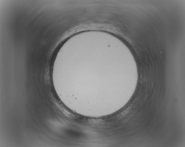 X0000071901498200608041329