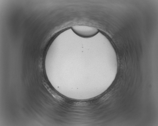 X0000071901499200608041329