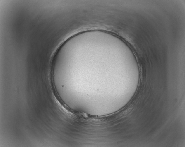 X0000071901500200608041329