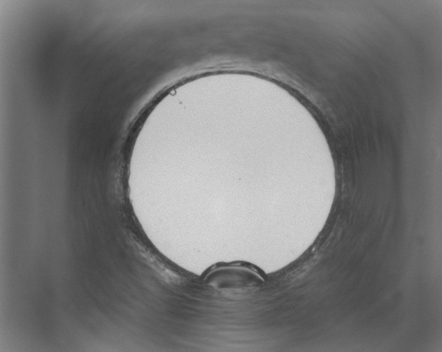 X0000071901502200608041329