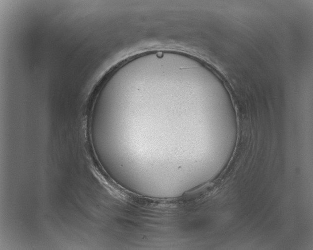 X0000071901503200608041329