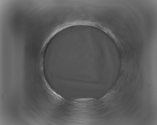 X0000071901504200608041329