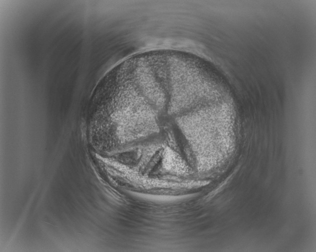 X0000071901505200608041329