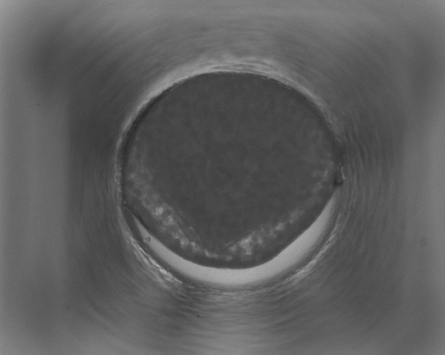 X0000071901506200608041329