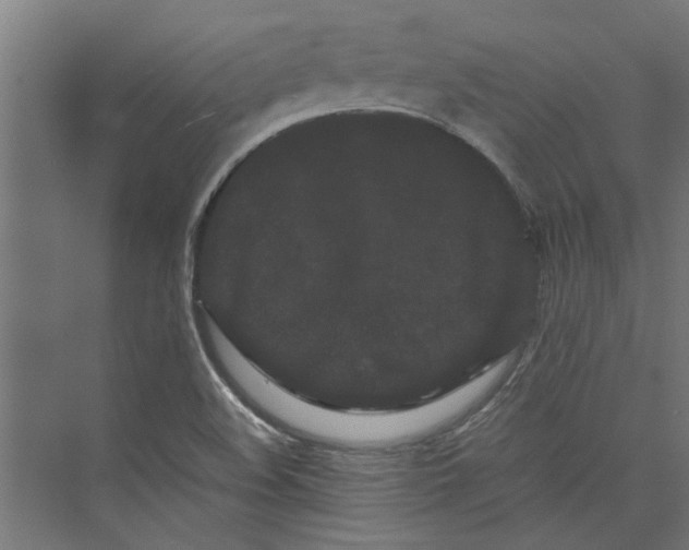 X0000071901508200608041329