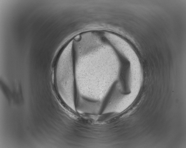 X0000071901509200608041329