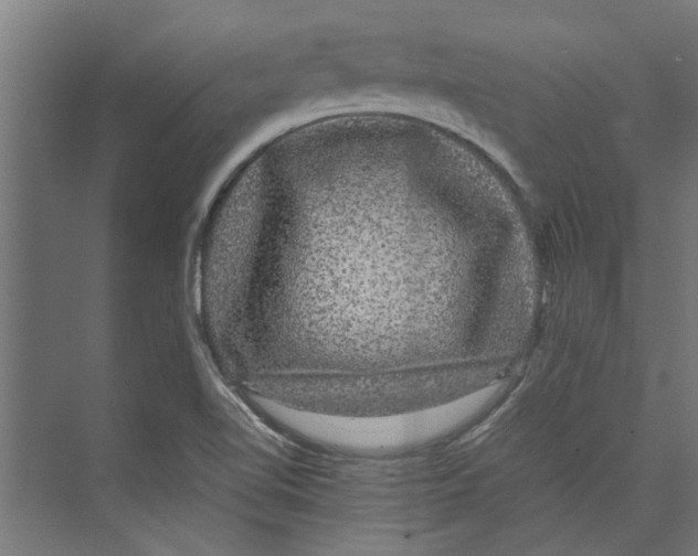 X0000071901510200608041329