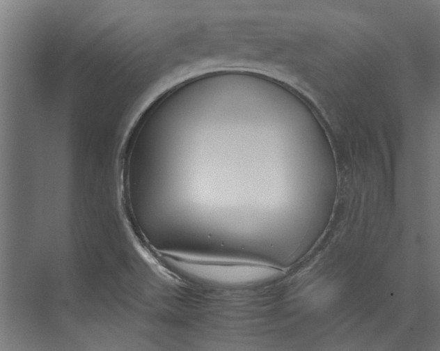 X0000071901511200608041329