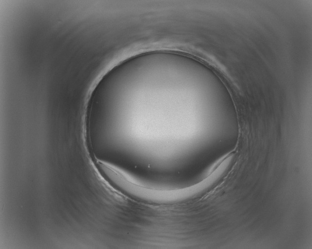 X0000071901512200608041329