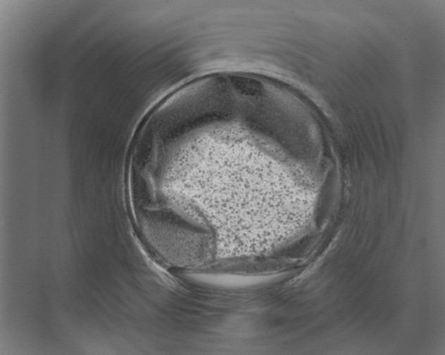 X0000071901513200608041329