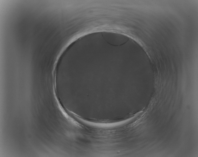 X0000071901515200608041329