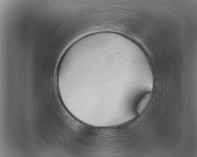 X0000071901516200608041329