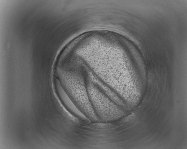 X0000071901517200608041329