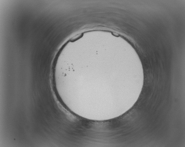 X0000071901518200608041329