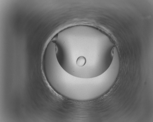 X0000071901520200608041329