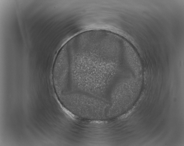 X0000071901521200608041329