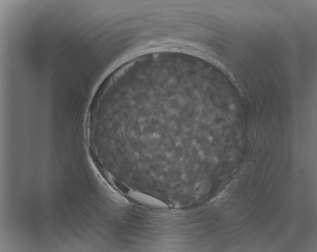 X0000071901522200608041329