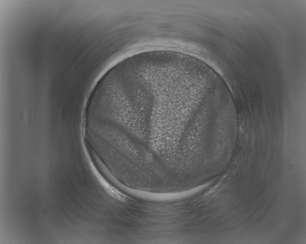 X0000071901523200608041329