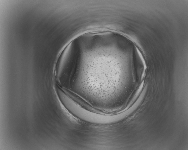 X0000071901524200608041329