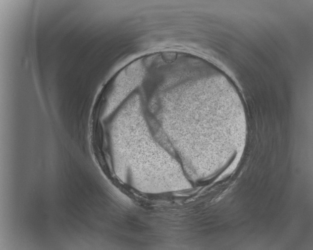 X0000071901525200608041329