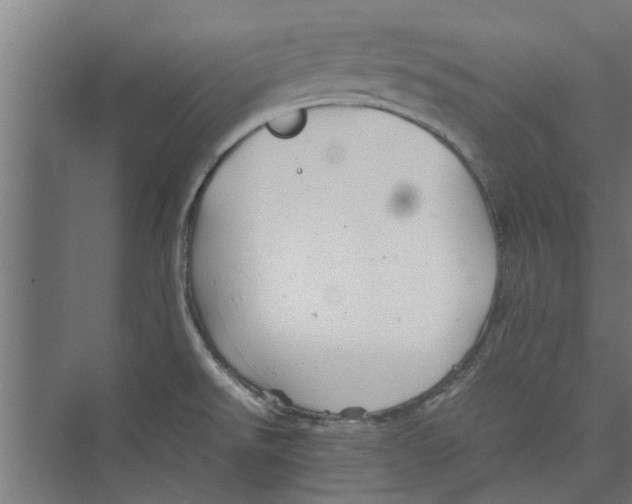 X0000071901526200608041329