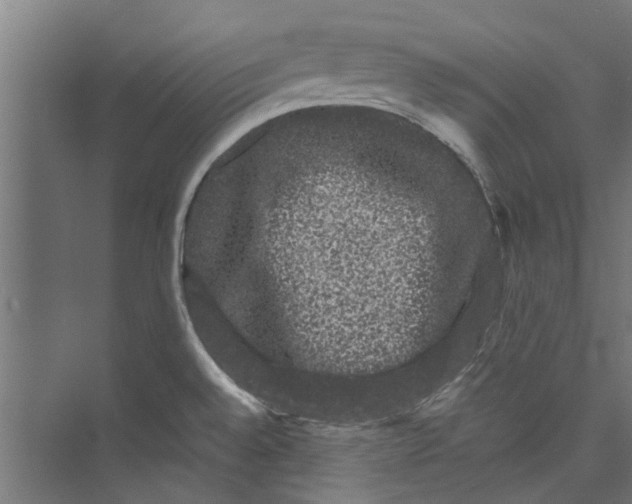 X0000071901528200608041330