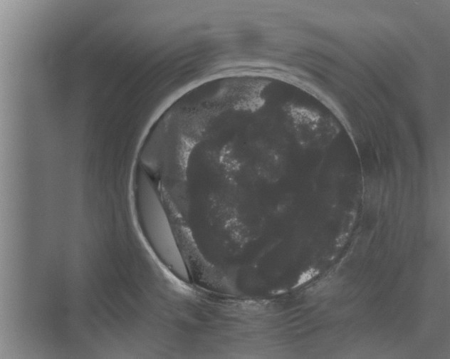 X0000071901533200608041330