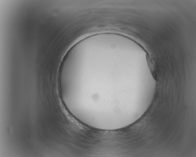 X0000071901534200608041330