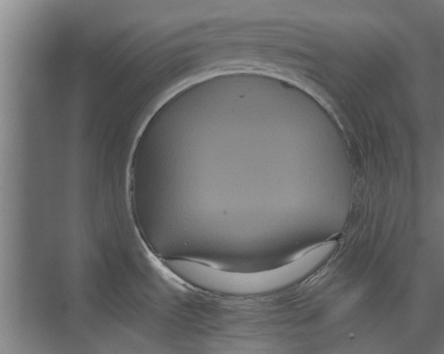 X0000071901535200608041330