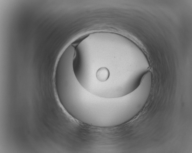 X0000071901536200608041330