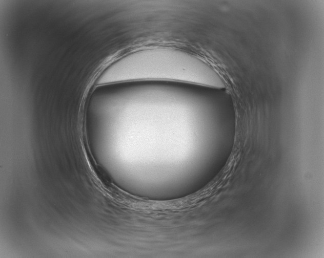 X0000071910003200607070957