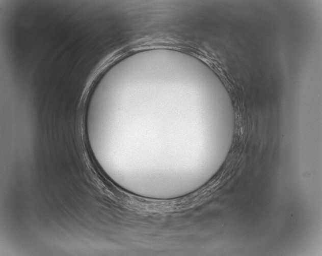 X0000071910004200607070957