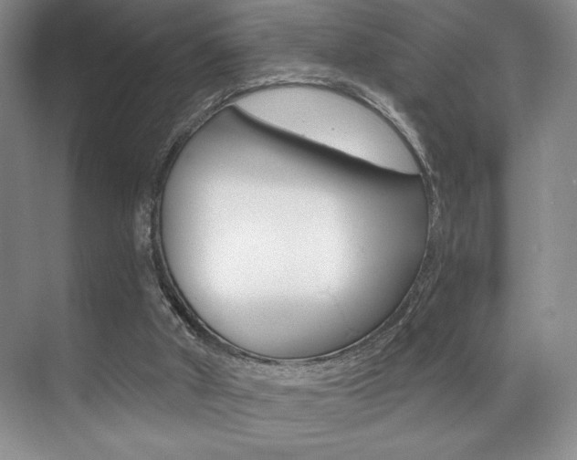 X0000071910010200607070957