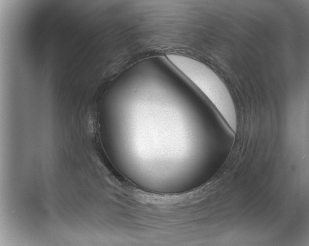 X0000071910039200607070956