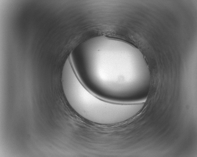 X0000071910041200607070956
