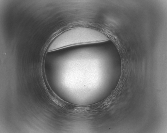 X0000071910051200607070955