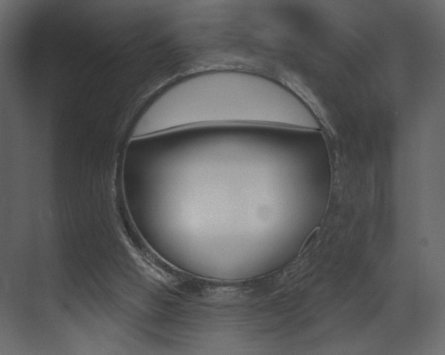X0000071910058200607070956