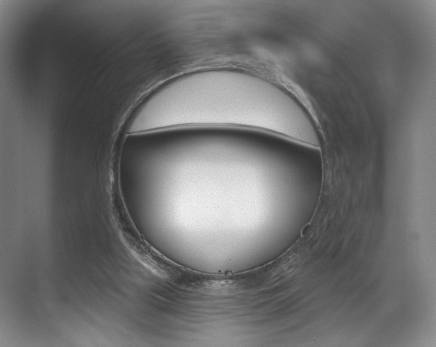 X0000071910059200607070956