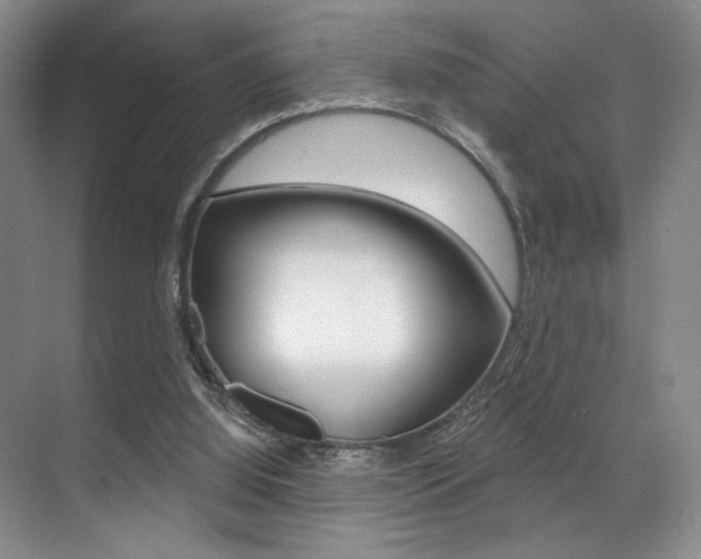 X0000071910060200607070956