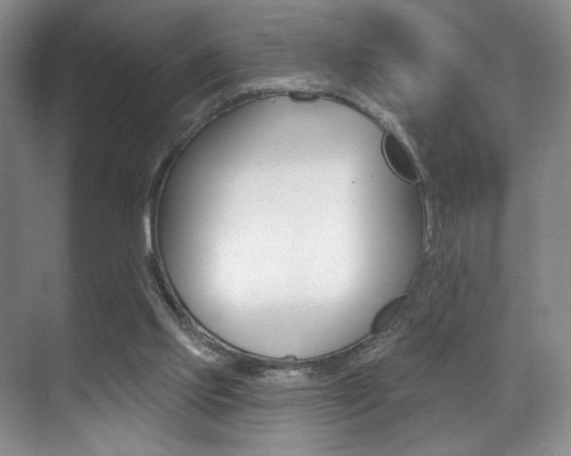 X0000071910061200607070956