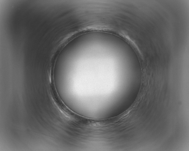 X0000071910062200607070956
