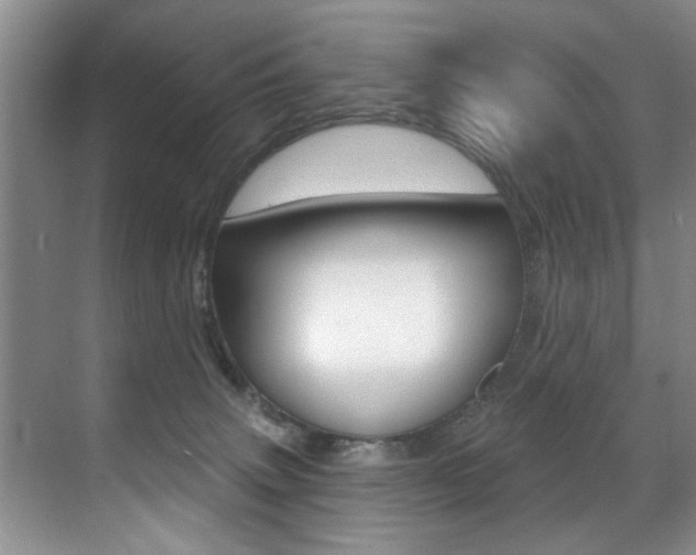 X0000071910083200607070956