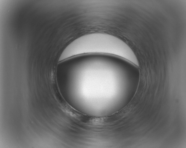 X0000071910084200607070956