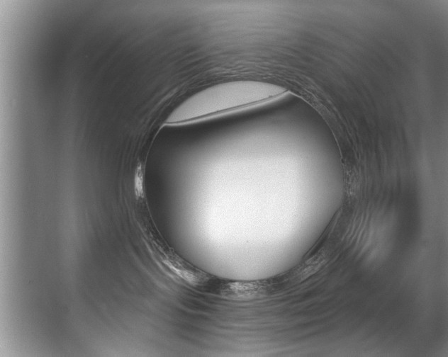 X0000071910095200607070956