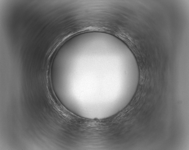 X0000071910098200607070955