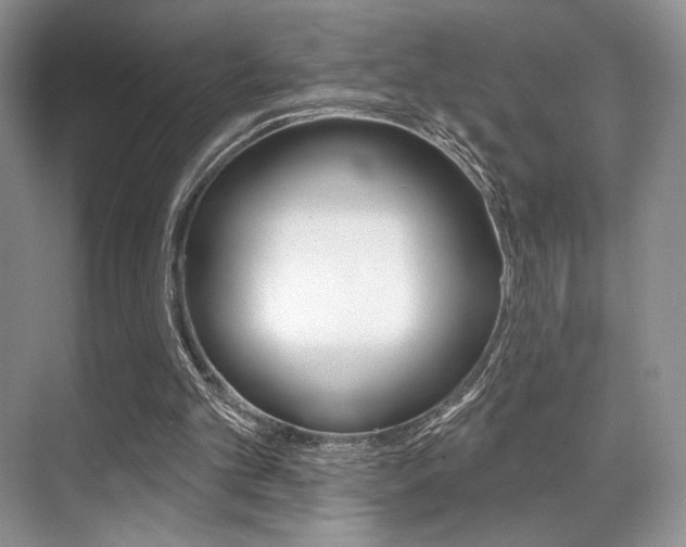 X0000071910101200607070955
