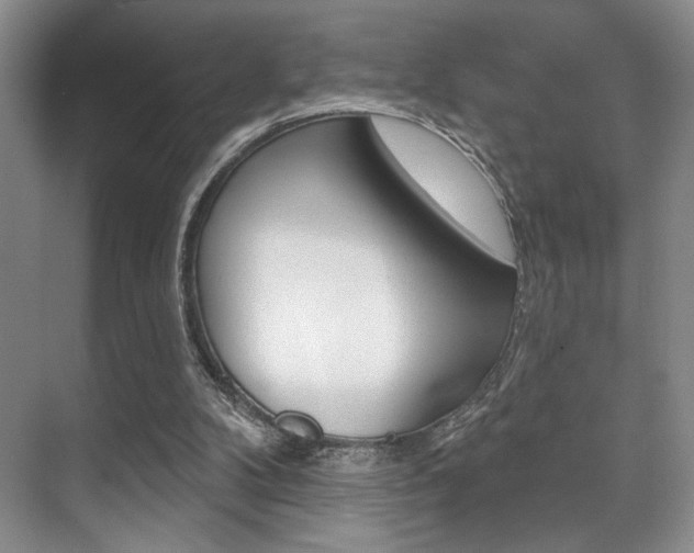 X0000071910104200607070955